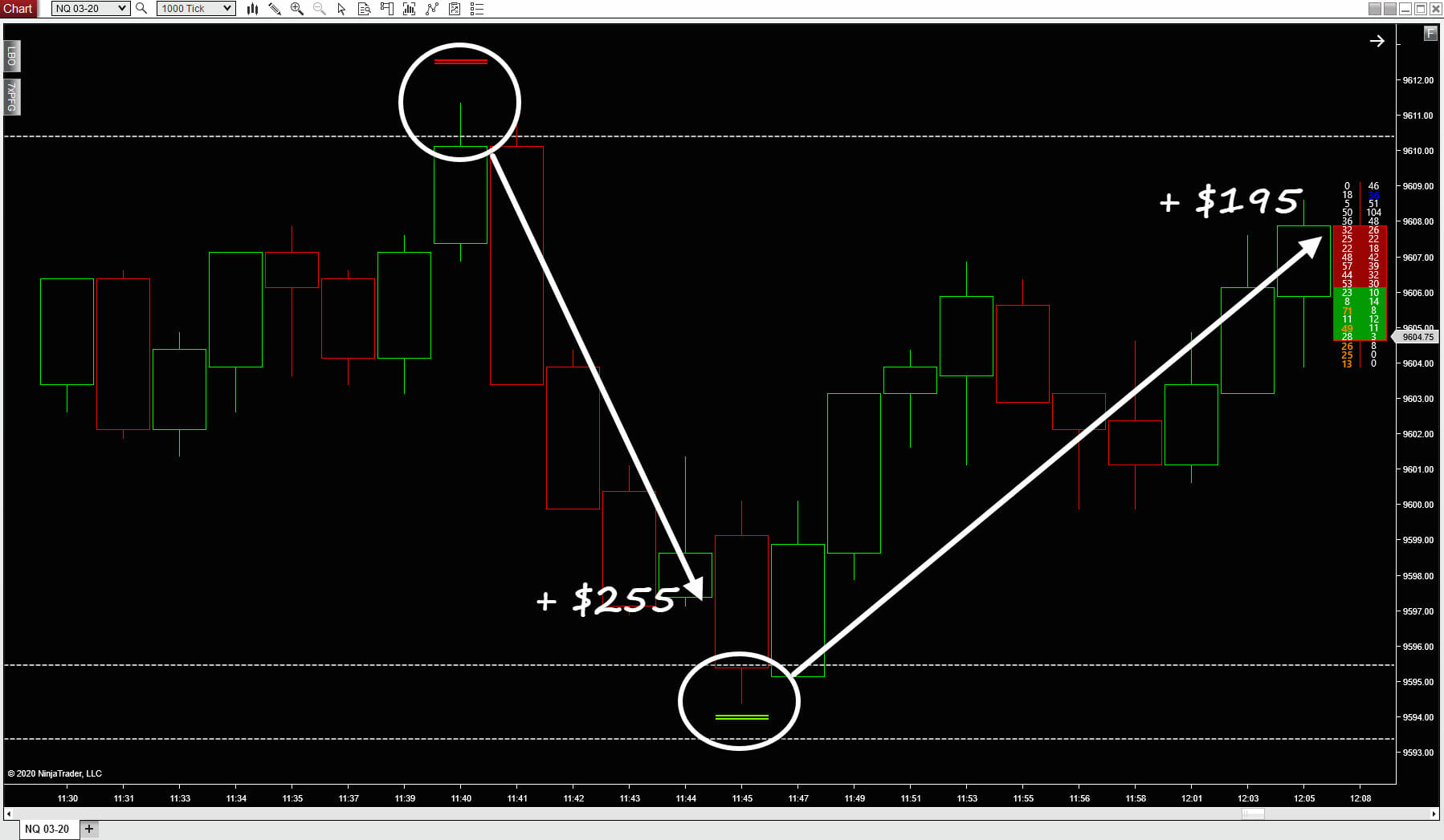 Opportunities for gain on a 6 minute chart using a hybrid of price action and order flow indicators.