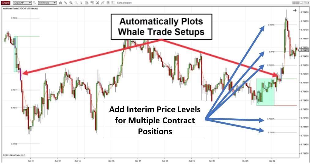 Chart showing how whale trade setups are plotted automatically.