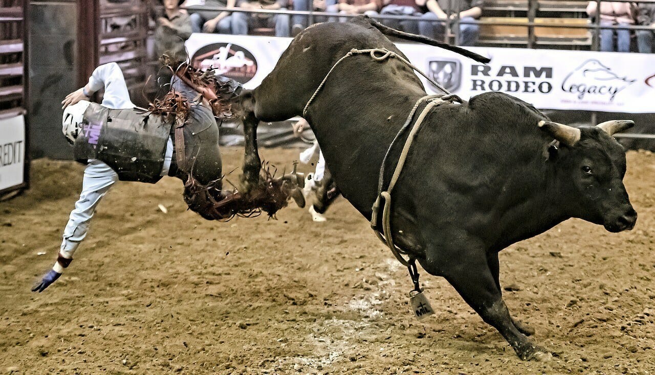 Bull rider being thrown from the back of a big, black bull at the rodeo just like your investments might be unless you know the best way to trade a trending stock.